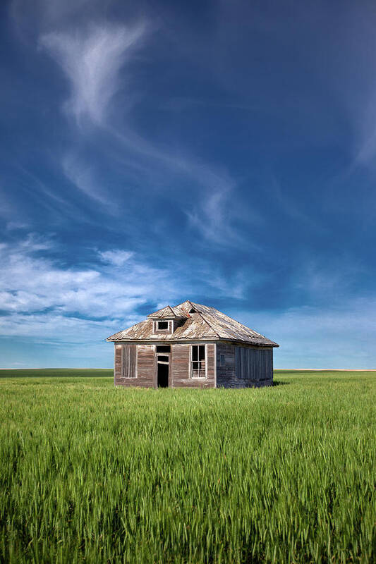 House Poster featuring the photograph Homestead and Wheat by Todd Klassy