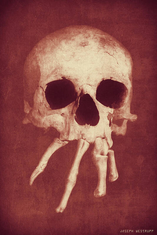 Skull Poster featuring the photograph Homo Spidercus Red by Joseph Westrupp