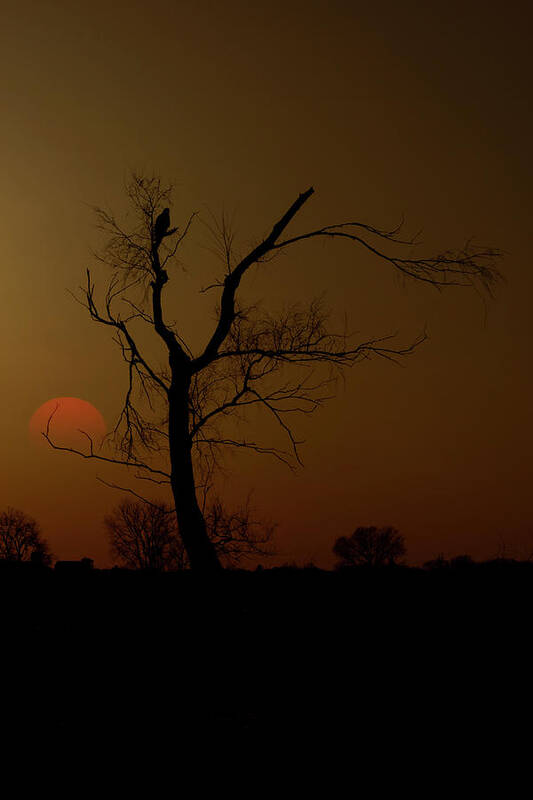 Sunset Poster featuring the photograph I Alone by Aaron J Groen