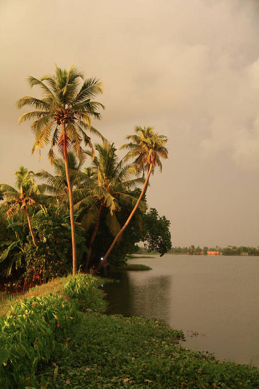 Scenics Poster featuring the photograph India Backwaters River Bank by Lily Currie