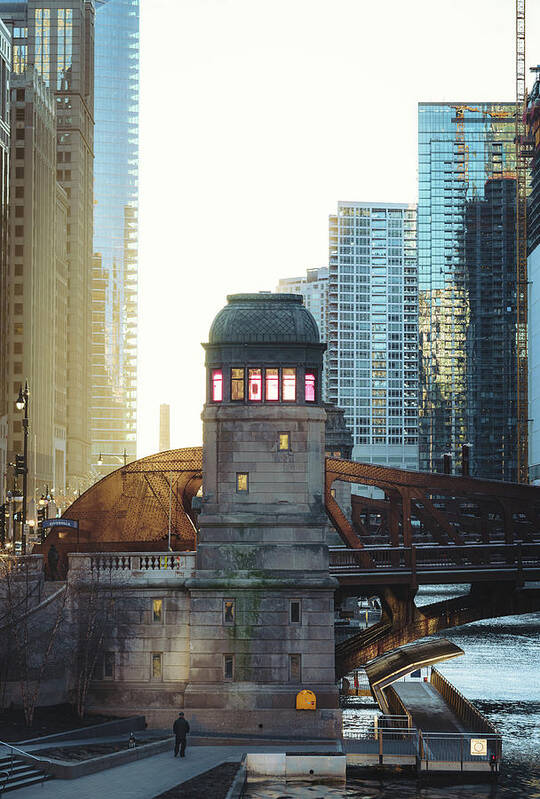 Chicago Poster featuring the photograph Into Gold by Nisah Cheatham