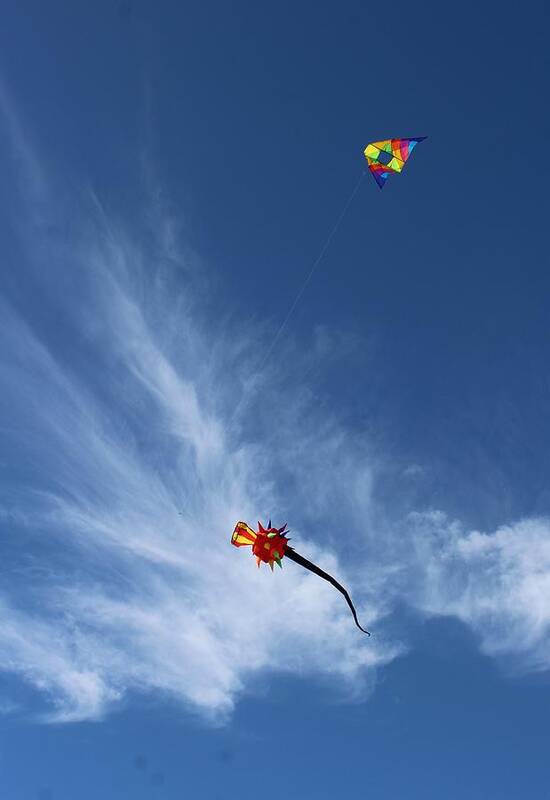 Kites Poster featuring the photograph Kites and Clouds by FD Graham