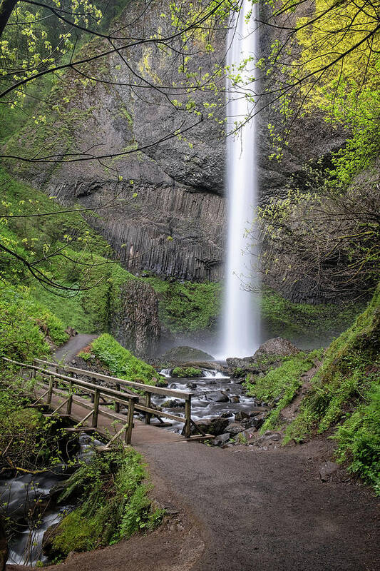 Oregon Poster featuring the photograph Latourell Falls by Nicole Young
