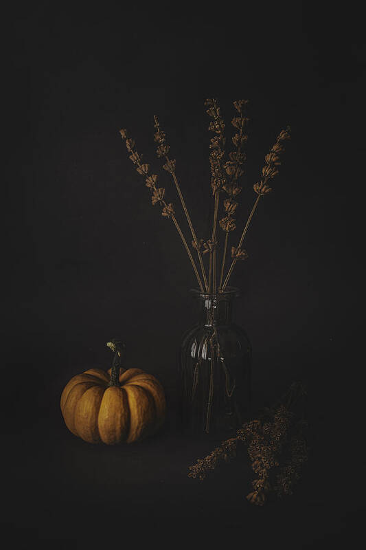 Pumpkin Poster featuring the photograph Lavenders And The Pumpkin by iek K?ral