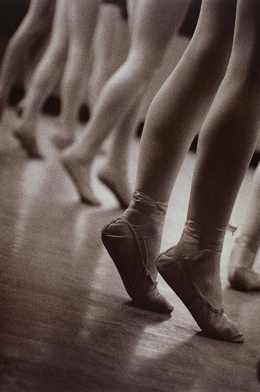 Ballet Dancer Poster featuring the photograph Legs Of Ballerinas by Doug Plummer