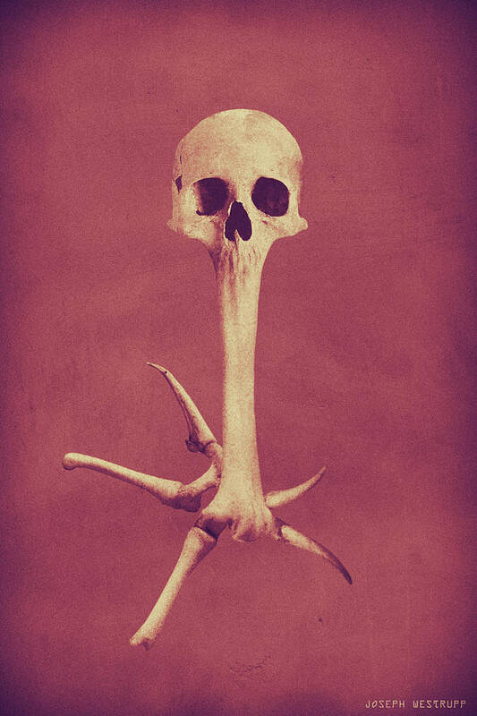 Skull Poster featuring the photograph Low Syzygy by Joseph Westrupp