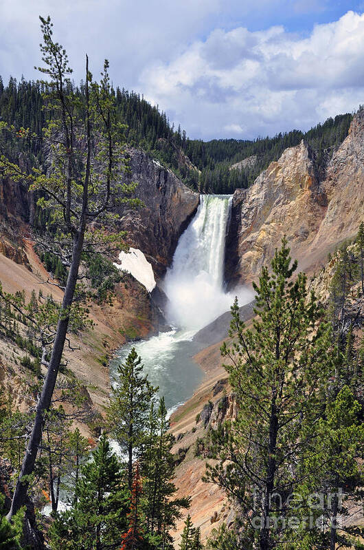 Lower Yellowstone Falls Poster featuring the photograph Lower Yellowstone Falls by Randall Dill
