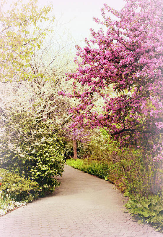 Spring Poster featuring the photograph Pastel Spring Garden by Jessica Jenney