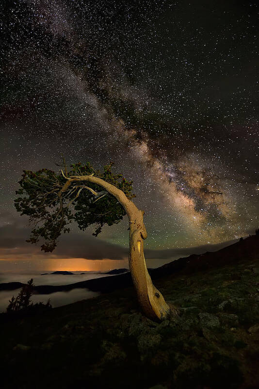 Milkyway Poster featuring the photograph Night Companion by Mei Xu