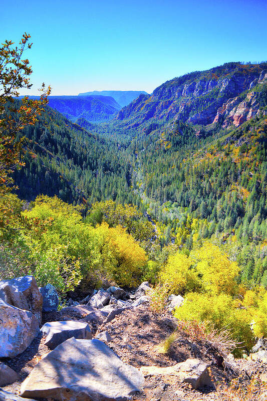 Oak Poster featuring the photograph Oak Creek Canyon Autumn by Chance Kafka
