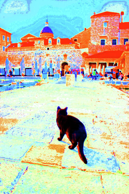 Black Cat Poster featuring the photograph Old Harbor Black Cat by Becqi Sherman