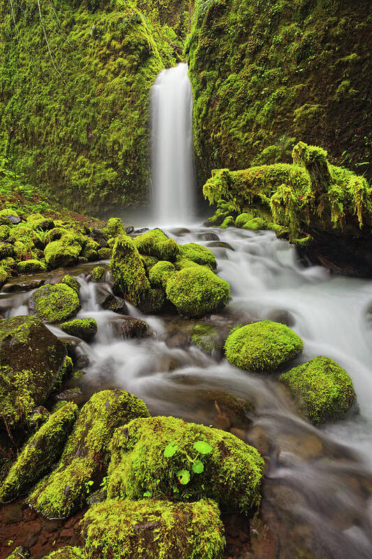 Scenics Poster featuring the photograph Oregon Waterfall by Helminadia