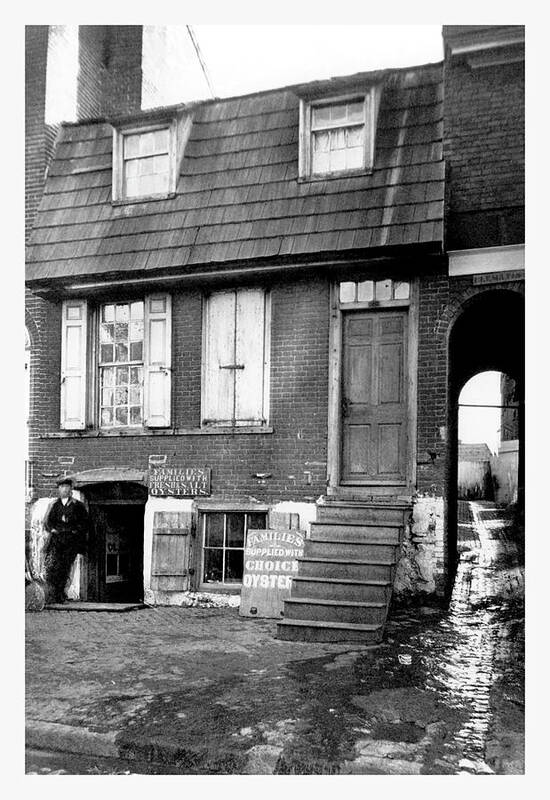 Oysters Poster featuring the painting Oyster Shop, Philadelphia, PA by Unknown