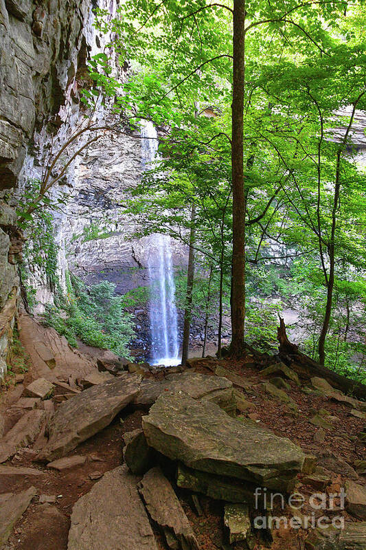 Tennessee Poster featuring the photograph Ozone Falls 2 by Phil Perkins