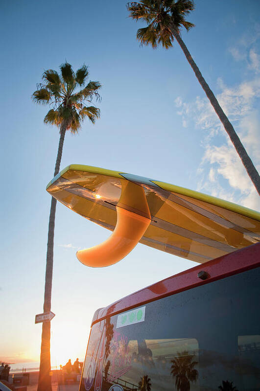 California Poster featuring the photograph Paddleboard On Top Of Car With Palm by Stephen Simpson