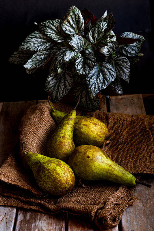 Freshness Poster featuring the photograph Pears by Marija Kordi?