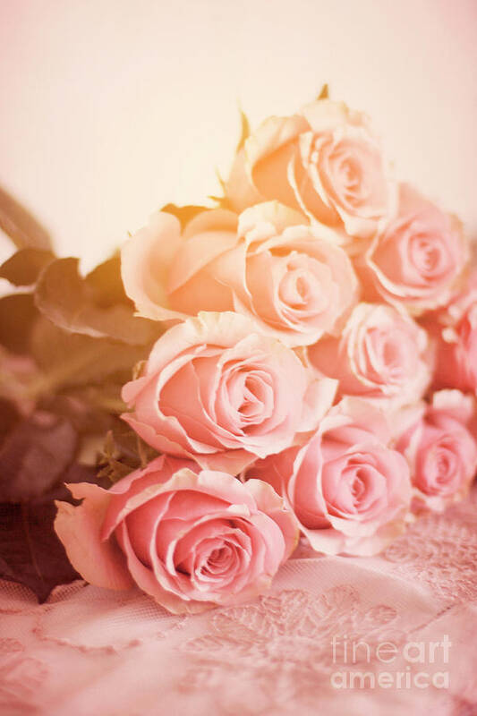 Roses Poster featuring the photograph Pink Roses Lying On A Table by Ethiriel Photography