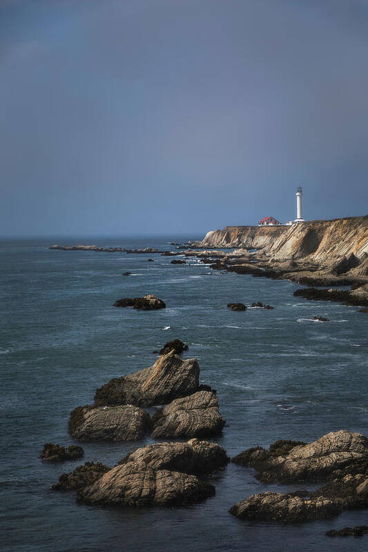 Lighthouse Poster featuring the photograph Point Arena Lighthouse Vertical by Teresa Wilson