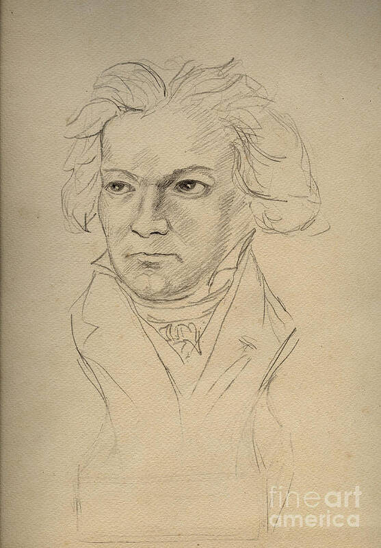 19th Century Poster featuring the drawing Portrait Of Ludwig Van Beethoven by Anonymous