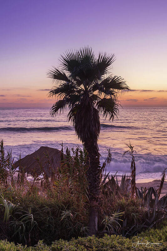 Beach Poster featuring the photograph Purple Views by Aaron Burrows