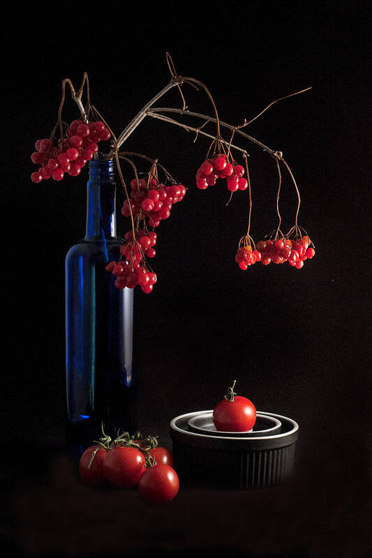 Stilllife Poster featuring the photograph Red by David Rothstein
