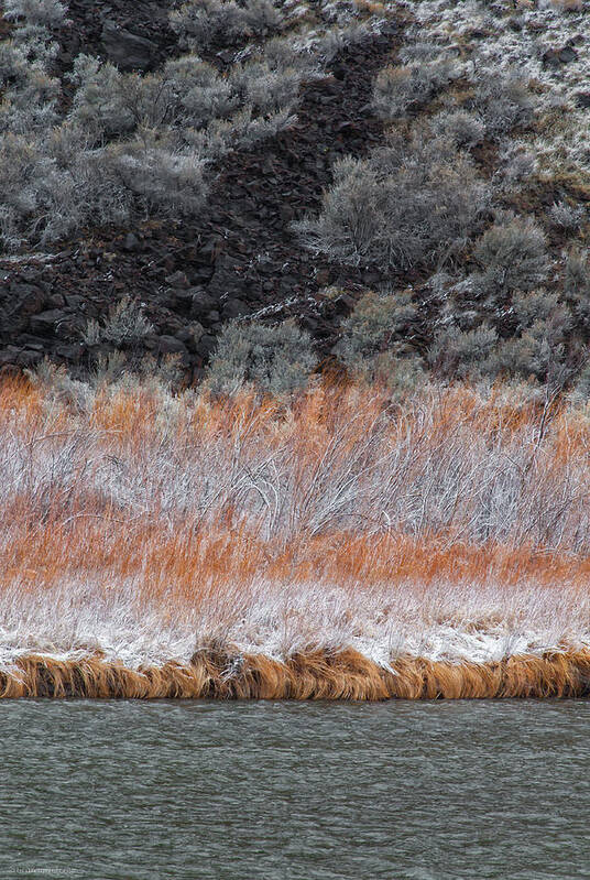 Winter Poster featuring the photograph Red Willow Rio by Britt Runyon