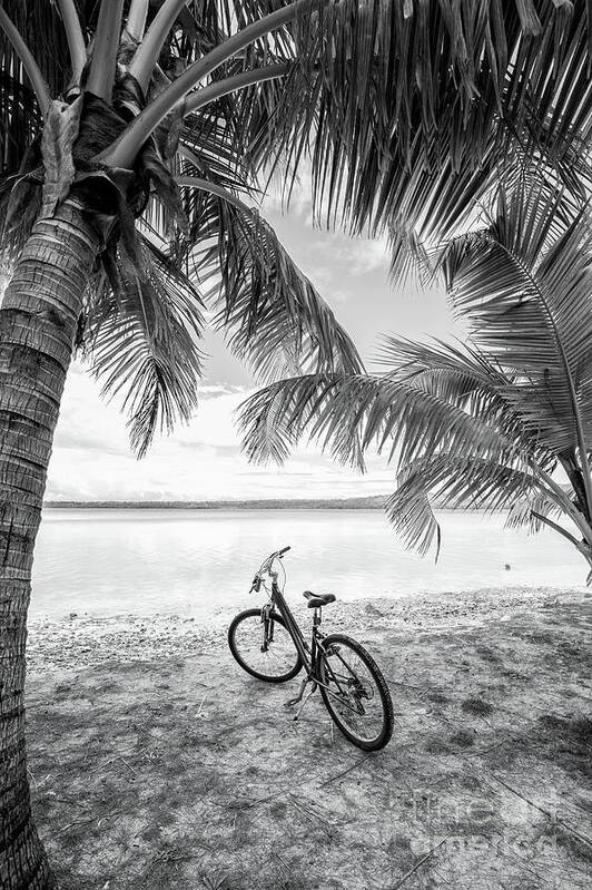 Bike Poster featuring the photograph Ride to the Lagoon by Becqi Sherman