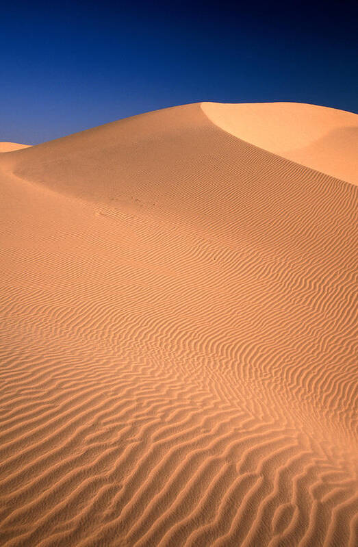 Sand Dune Poster featuring the photograph Ripples Of Algodones Dunes, Imperial by Mark Newman
