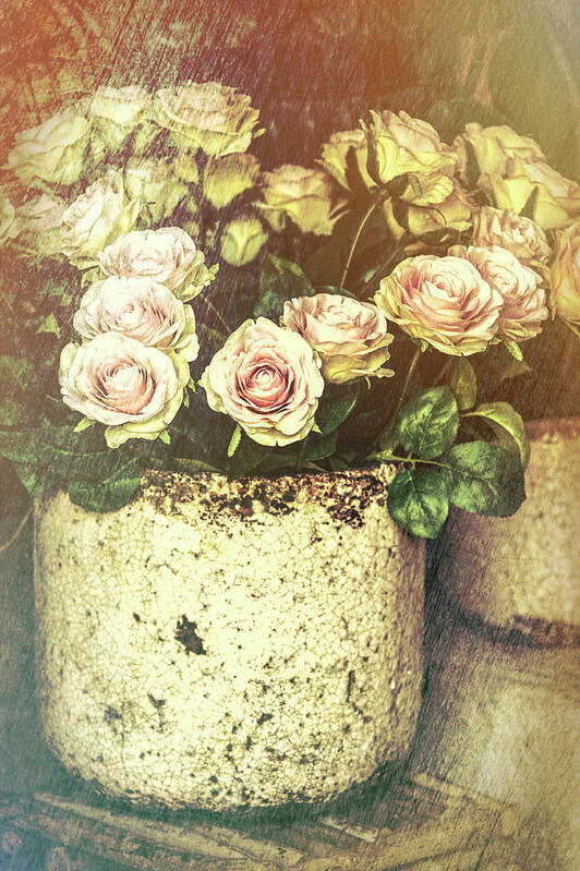 French Poster featuring the photograph Romantic French Roses by Garry Gay