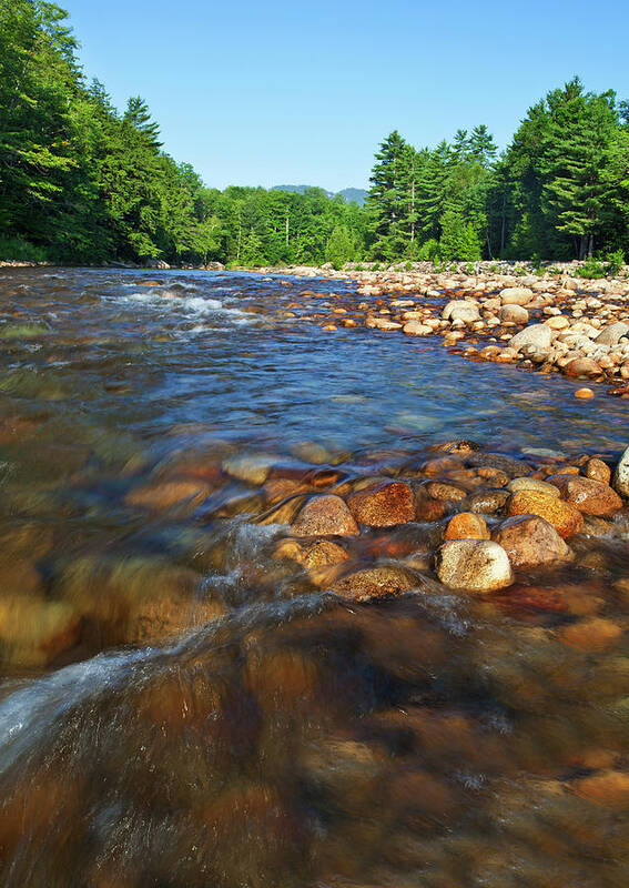 Water's Edge Poster featuring the photograph Saco River Rapids by Wholden