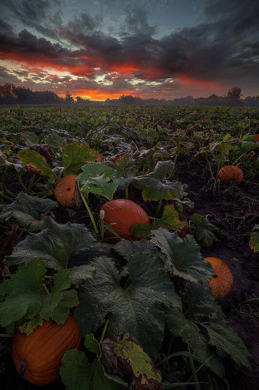 Halloween Poster featuring the photograph Samhain by Aaron J Groen