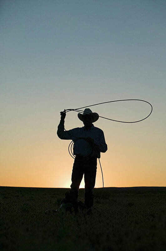 Dawn Poster featuring the photograph Silhouette Of Cowboy With Lasso by Edward Mccain