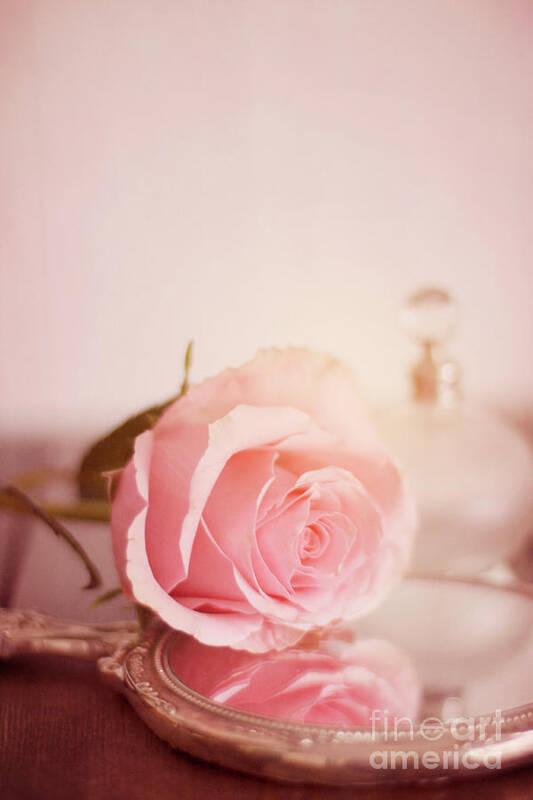 Rose Poster featuring the photograph Single Pink Rose On A Mirror With A Perfume Bottle In The Background by Ethiriel Photography