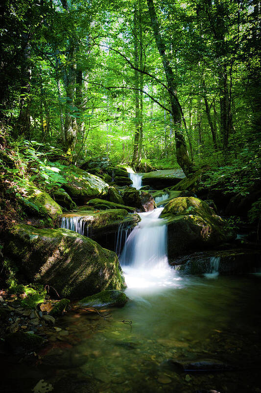 Smokey Mountains Poster featuring the photograph Smokey Mountain Tranquility by Randall Allen
