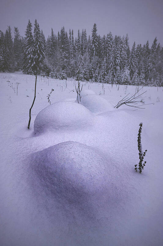 Snow Poster featuring the photograph Snow Hummocks by Andrey Kotov