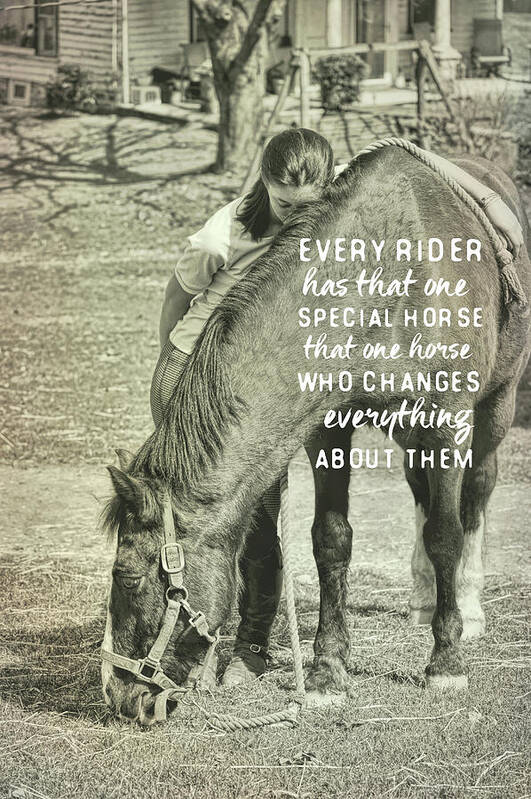 About Poster featuring the photograph SPECIAL BOND quote by Dressage Design