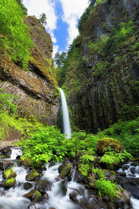 Scenics Poster featuring the photograph Spring Waterfall by Justin Reznick Photography
