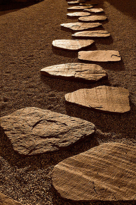 Stepping Stones Poster featuring the photograph Stepping Stones by Craig Brewer
