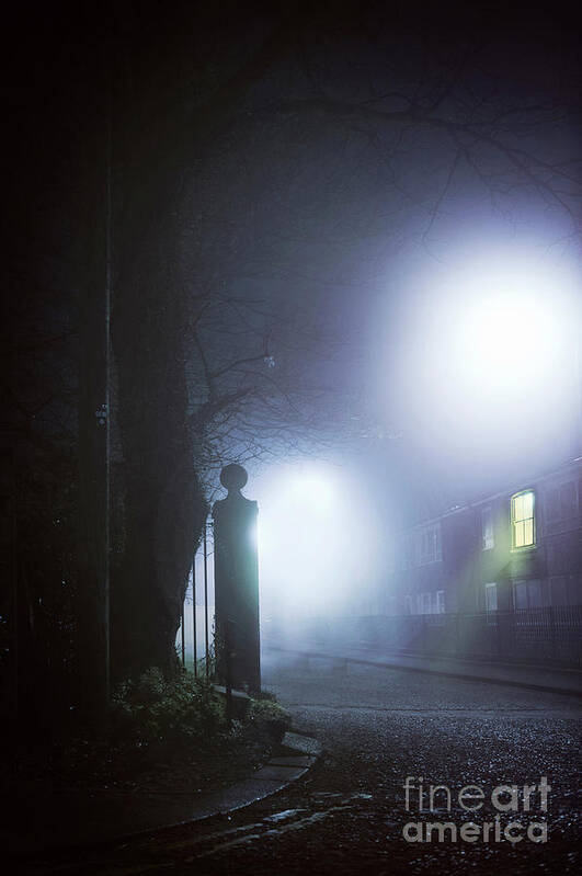 House Poster featuring the photograph Suburban House At Night With Window Light by Lee Avison