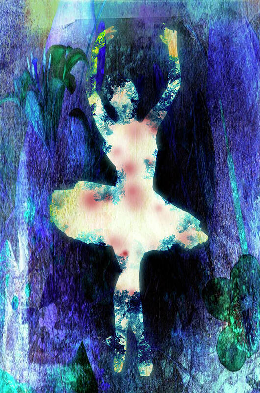 Ballet Poster featuring the photograph The Ballet Dancer by Pheasant Run Gallery