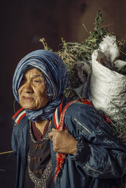 Nature Poster featuring the photograph The Old Worker by Wail.hamdane