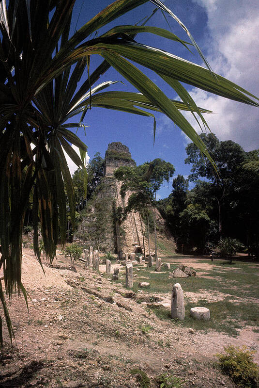 Lifeown Poster featuring the photograph Tikal Temple I by Thomas D. McAvoy