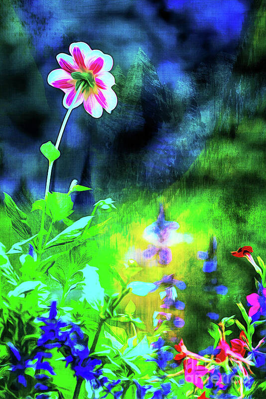 Garden Poster featuring the photograph Underwater Garden Abstract by Anita Pollak