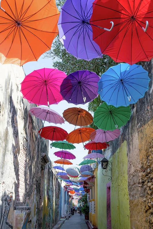 Cartagena Poster featuring the photograph Urban Umbrellas by Renee Sullivan