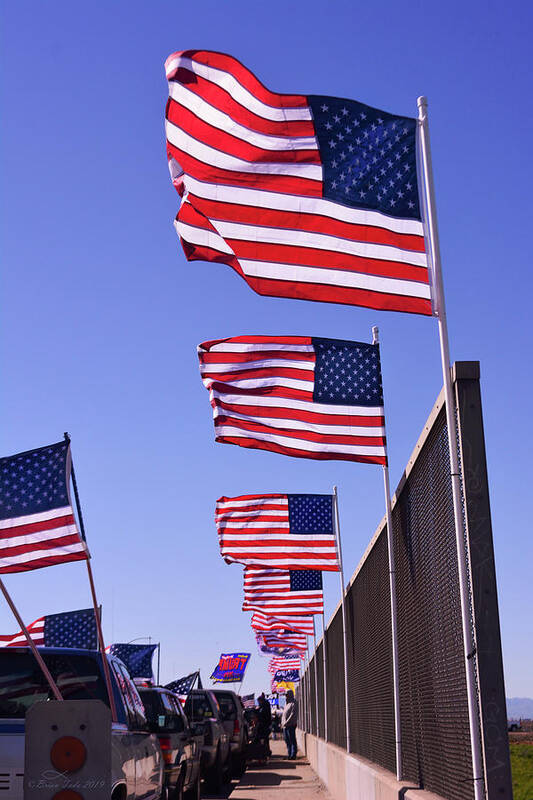 American Flag Poster featuring the photograph U.S. Flags, Presidents Day, Central Valley, California by Brian Tada
