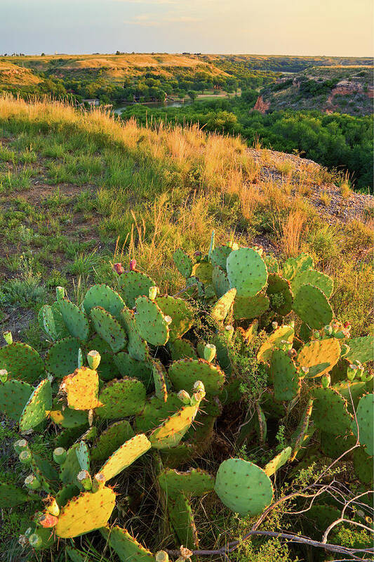 Scenics Poster featuring the photograph West Texas Canyon Country At Buffalo by Dszc