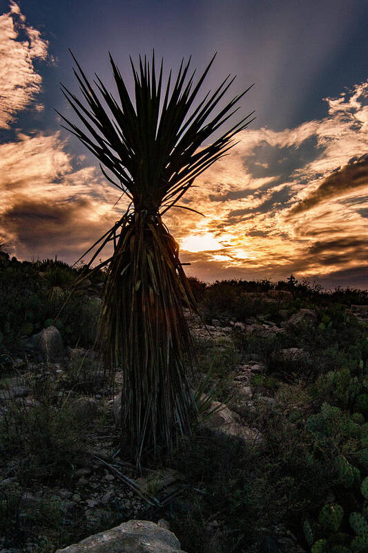 Photo Poster featuring the photograph West Texas sunset by Jason Hughes