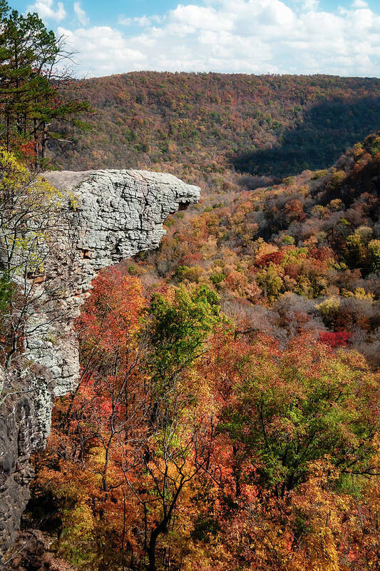 Whitaker Point Poster featuring the photograph Whitaker Point by James Barber