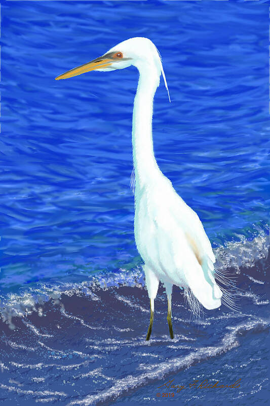 Gary Poster featuring the digital art White Heron Diva by Gary F Richards
