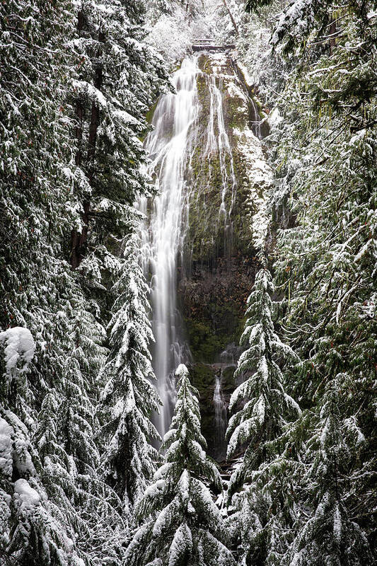 Falls Poster featuring the photograph Winter at Proxy Falls by Alex Mironyuk